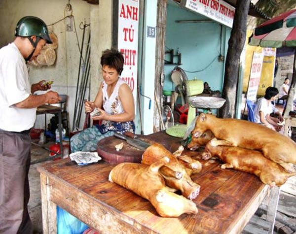 Nhiều du khách nước ngoài còn rất sợ món thịt chó và mắm tôm. Họ không thể hiểu tại sao người Việt lại “làm thịt” con vật nuôi trong nhà. Tuy nhiên, đây lại được coi là món ăn "truyền thống", rất hấp dẫn, đặc biệt là đối với dân nhậu.
